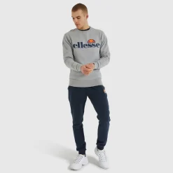 Ellesse Hoodies & Sweatshirts>SL Succiso Sweatshirt Grau für Herren