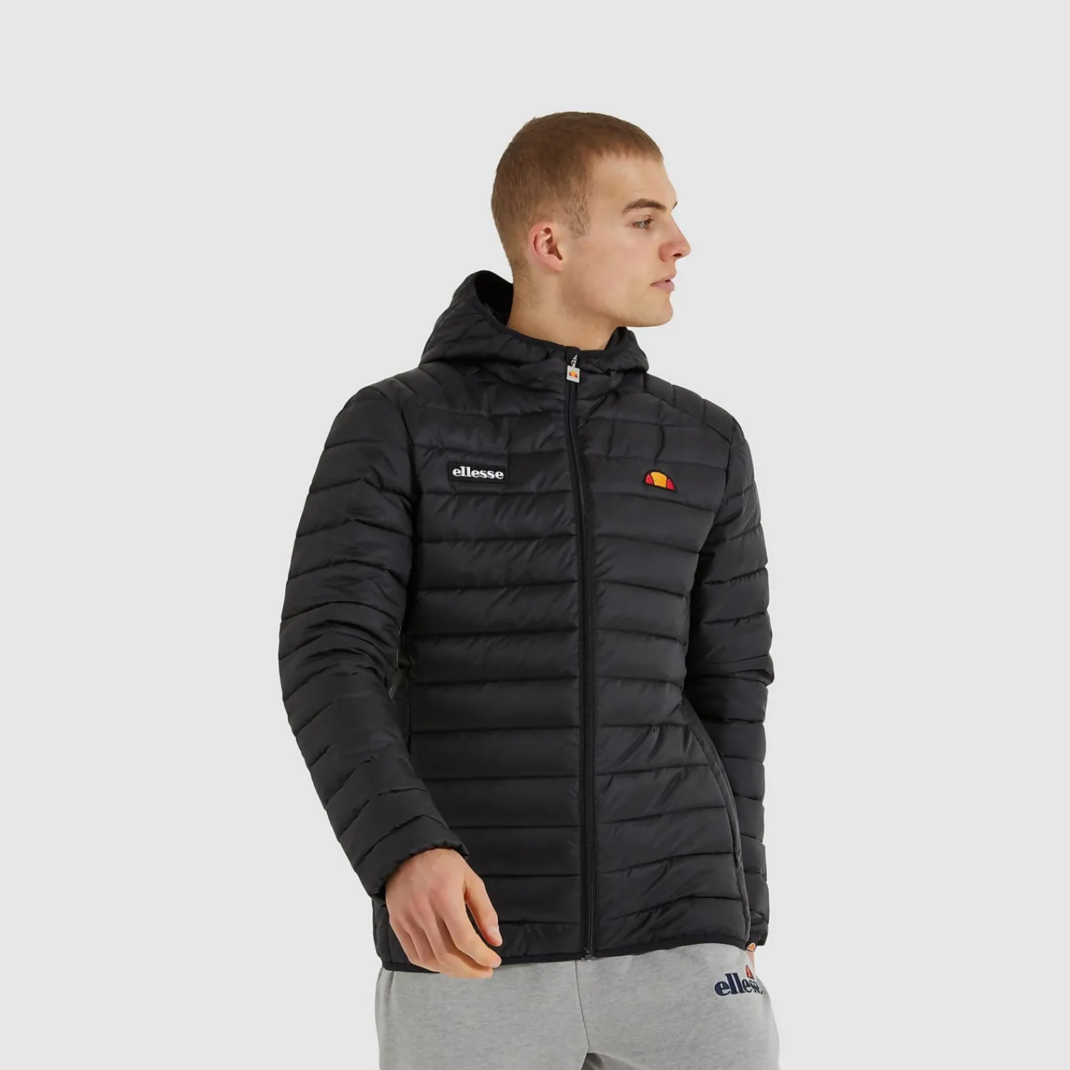 Ellesse Jacken Und Mäntel>Steppjacke Lombardy für Herren Schwarz